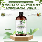 100% Pure Natural Undiluted Eucalyptus Essential Oil (4Oz) Premium Therapeutic Grade Aromatherapy